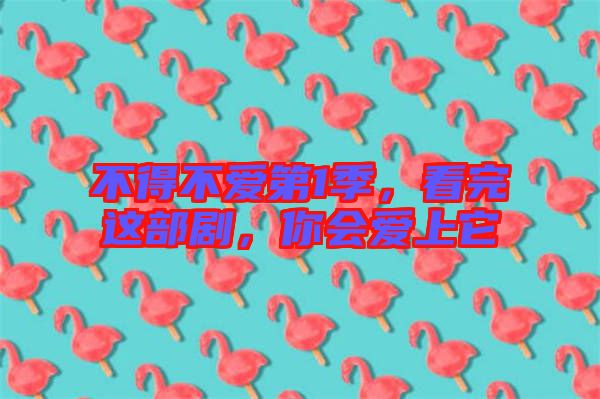 不得不愛(ài)第1季，看完這部劇，你會(huì)愛(ài)上它