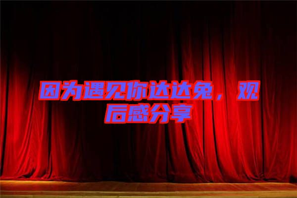 因?yàn)橛鲆?jiàn)你達(dá)達(dá)兔，觀后感分享