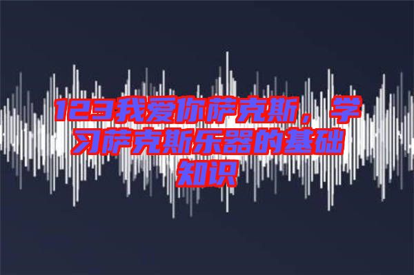 123我愛你薩克斯，學(xué)習(xí)薩克斯樂器的基礎(chǔ)知識