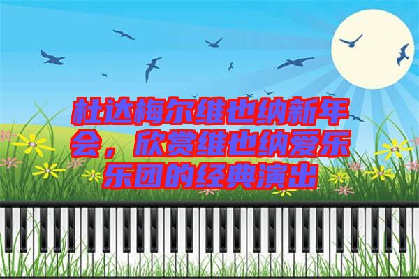 杜達(dá)梅爾維也納新年會，欣賞維也納愛樂樂團(tuán)的經(jīng)典演出