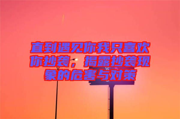 直到遇見你我只喜歡你抄襲，揭露抄襲現(xiàn)象的危害與對策