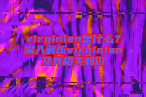 virginian是什么？深入解析virginian及其相關(guān)知識