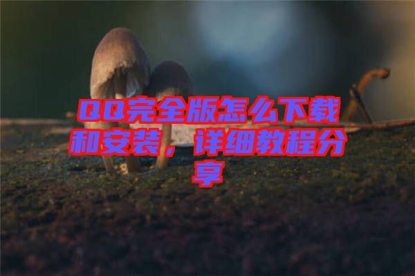 QQ完全版怎么下載和安裝，詳細(xì)教程分享