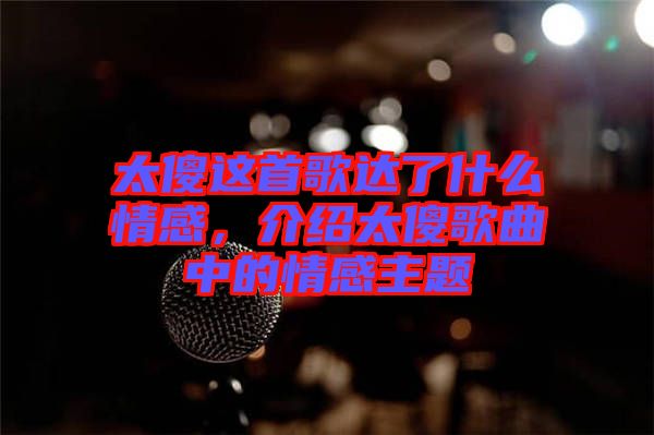 太傻這首歌達了什么情感，介紹太傻歌曲中的情感主題