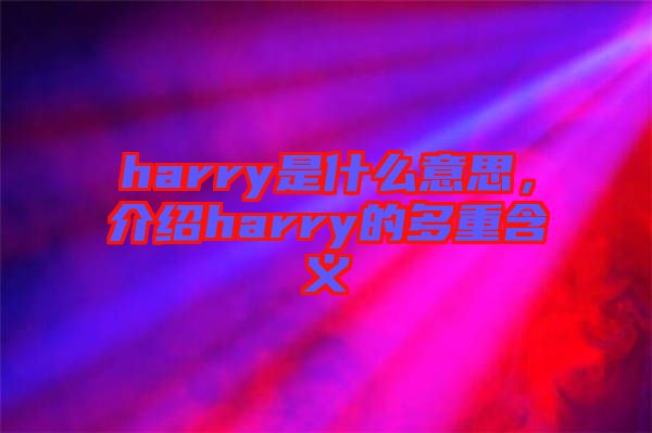 harry是什么意思，介紹harry的多重含義
