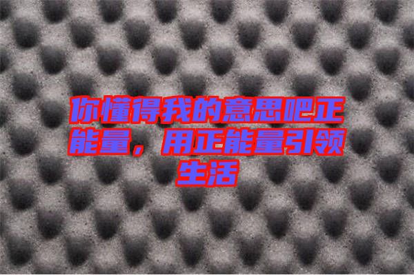 你懂得我的意思吧正能量，用正能量引領(lǐng)生活