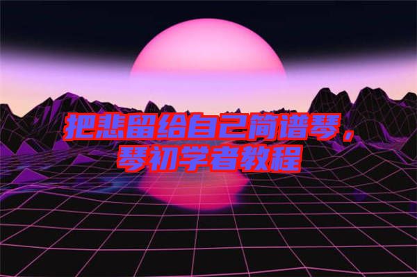 把悲留給自己簡譜琴，琴初學(xué)者教程