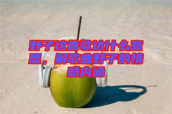野子這首歌達什么意思，解歌曲野子的情感內涵