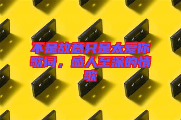 不是故意只是太愛(ài)你歌詞，感人至深的情歌