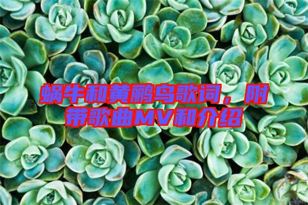 蝸牛和黃鸝鳥歌詞，附帶歌曲MV和介紹