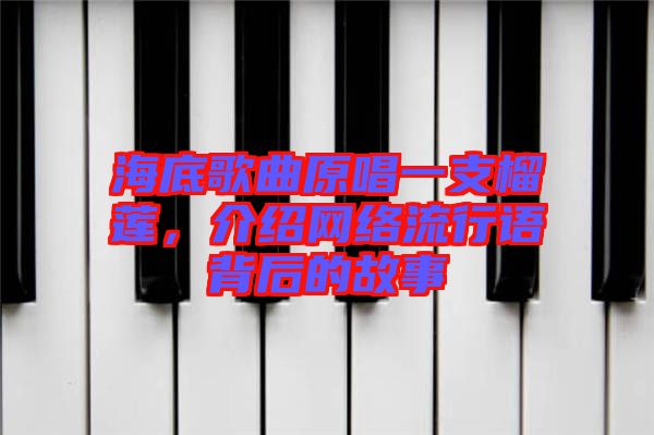 海底歌曲原唱一支榴蓮，介紹網(wǎng)絡(luò)流行語背后的故事