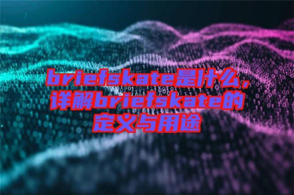 briefskate是什么，詳解briefskate的定義與用途