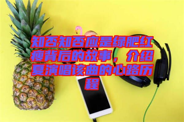 知否知否應(yīng)是綠肥紅瘦背后的故事，介紹夏演唱該曲的心路歷程