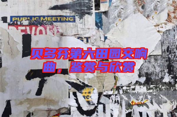 貝多芬第六田園交響曲，鑒賞與欣賞