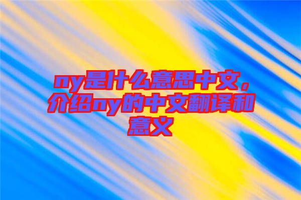 ny是什么意思中文，介紹ny的中文翻譯和意義