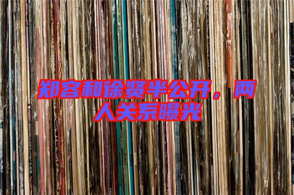 鄭容和徐賢半公開，兩人關系曝光