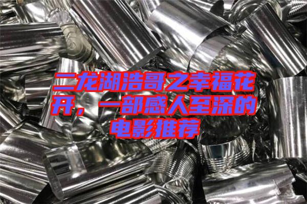 二龍湖浩哥之幸?；ㄩ_，一部感人至深的電影推薦