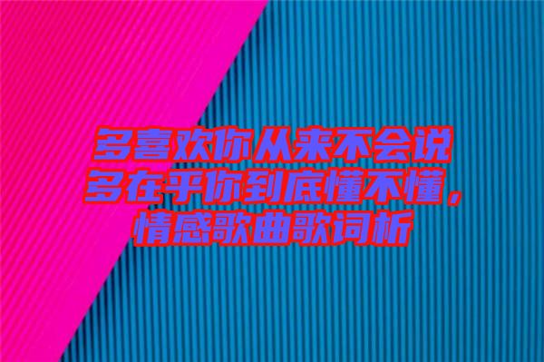 多喜歡你從來不會說多在乎你到底懂不懂，情感歌曲歌詞析