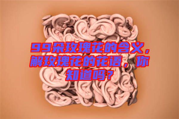 99朵玫瑰花的含義，解玫瑰花的花語，你知道嗎？
