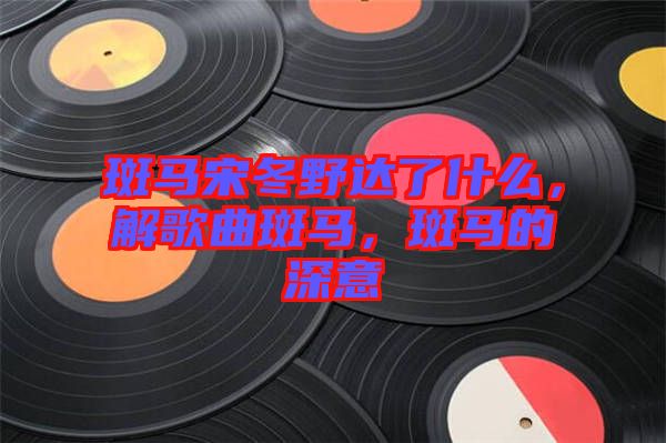 斑馬宋冬野達(dá)了什么，解歌曲斑馬，斑馬的深意