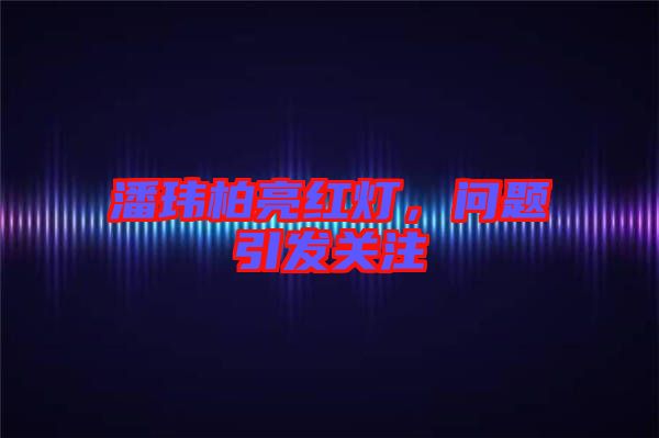 潘瑋柏亮紅燈，問題引發(fā)關(guān)注