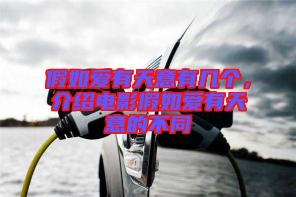 假如愛有天意有幾個，介紹電影假如愛有天意的不同