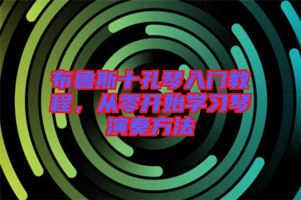布魯斯十孔琴入門教程，從零開始學(xué)習(xí)琴演奏方法