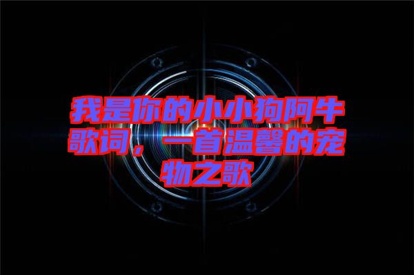 我是你的小小狗阿牛歌詞，一首溫馨的寵物之歌