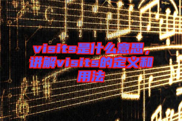 visits是什么意思，講解visits的定義和用法