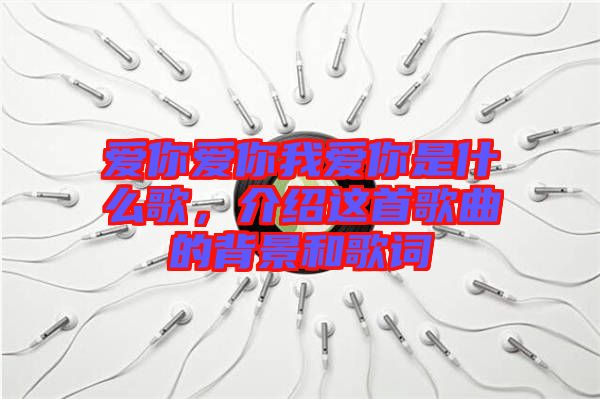 愛你愛你我愛你是什么歌，介紹這首歌曲的背景和歌詞