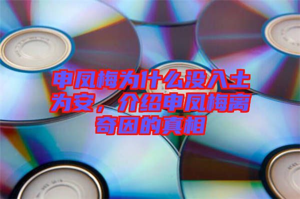 申鳳梅為什么沒入土為安，介紹申鳳梅離奇因的真相