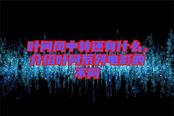 葉問風(fēng)中轉(zhuǎn)還有什么，介紹葉問系列電影的不同