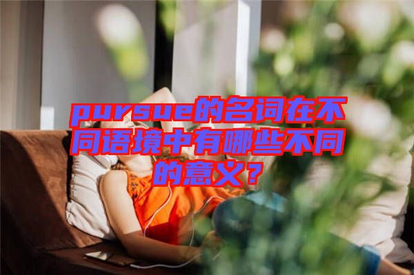 pursue的名詞在不同語(yǔ)境中有哪些不同的意義？