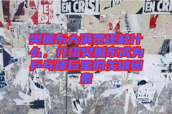 樊振東大滿貫還缺什么，介紹樊振東成為乒乓球巨星的關(guān)鍵因素