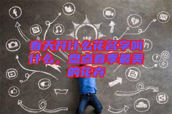 春天開什么花名字叫什么，盤點春季最美的花卉