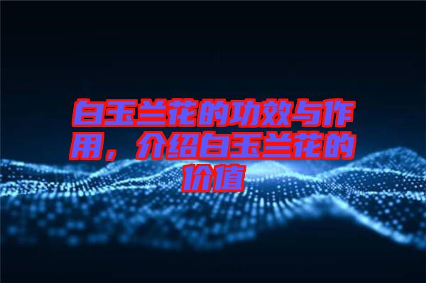 白玉蘭花的功效與作用，介紹白玉蘭花的價值
