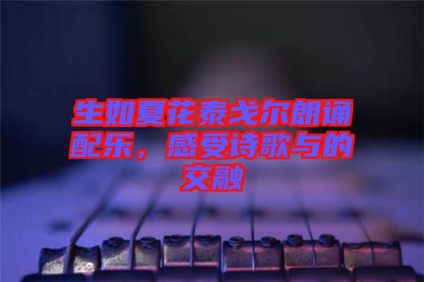 生如夏花泰戈?duì)柪收b配樂(lè)，感受詩(shī)歌與的交融