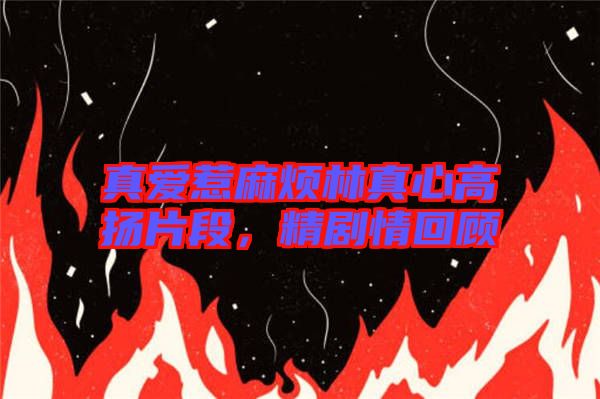 真愛惹麻煩林真心高揚(yáng)片段，精劇情回顧