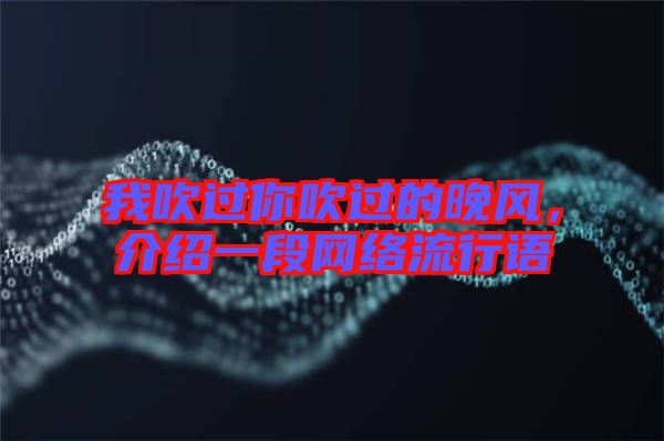 我吹過你吹過的晚風(fēng)，介紹一段網(wǎng)絡(luò)流行語