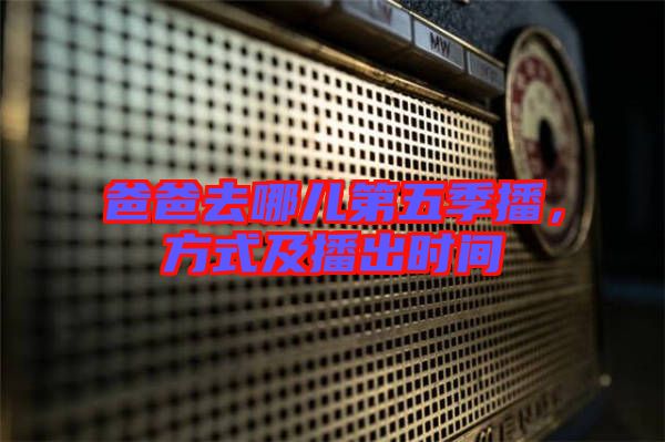 爸爸去哪兒第五季播，方式及播出時間