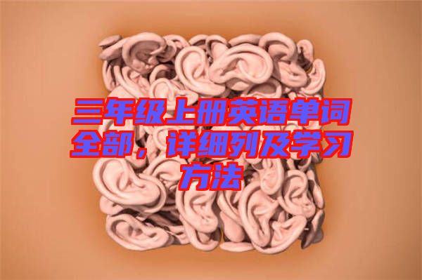 三年級上冊英語單詞全部，詳細(xì)列及學(xué)習(xí)方法