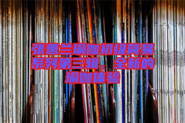 張蕙蘭瑜伽初級簡易系列第三輯，全新的瑜伽體驗