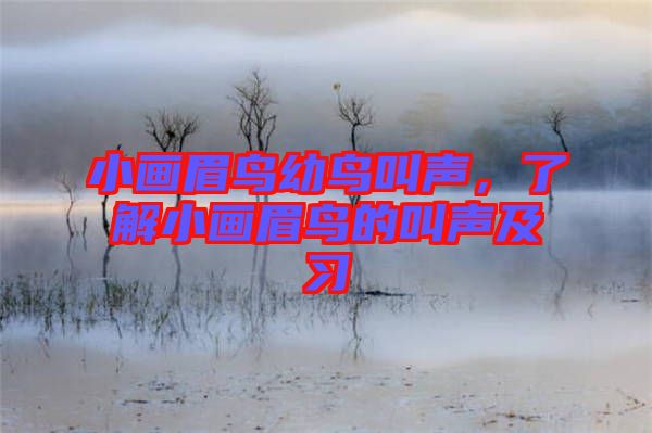 小畫(huà)眉鳥(niǎo)幼鳥(niǎo)叫聲，了解小畫(huà)眉鳥(niǎo)的叫聲及習(xí)