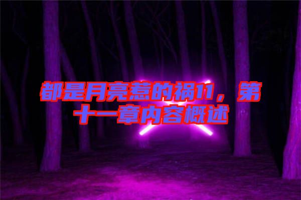 都是月亮惹的禍11，第十一章內(nèi)容概述