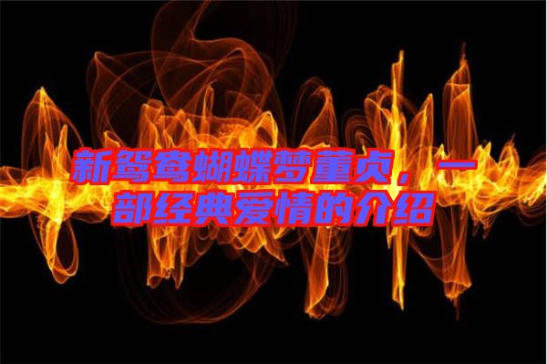 新鴛鴦蝴蝶夢董貞，一部經(jīng)典愛情的介紹