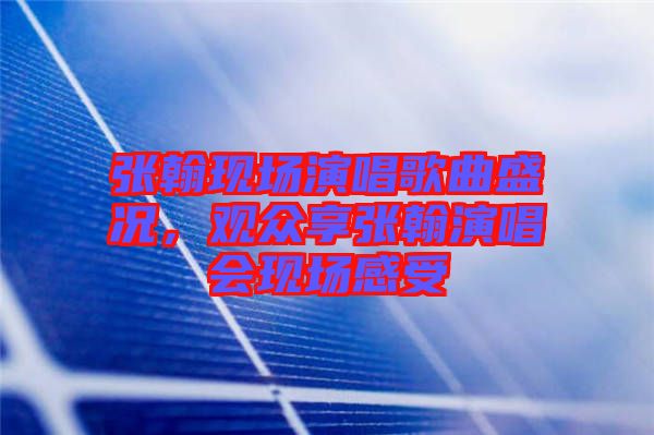張翰現(xiàn)場演唱歌曲盛況，觀眾享張翰演唱會(huì)現(xiàn)場感受