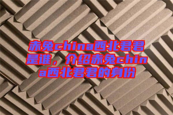 赤兔china西北君君是誰，介紹赤兔china西北君君的身份