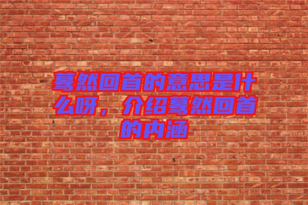 驀然回首的意思是什么呀，介紹驀然回首的內(nèi)涵