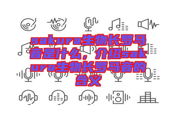 sakura生物長羅馬音是什么，介紹sakura生物長羅馬音的含義