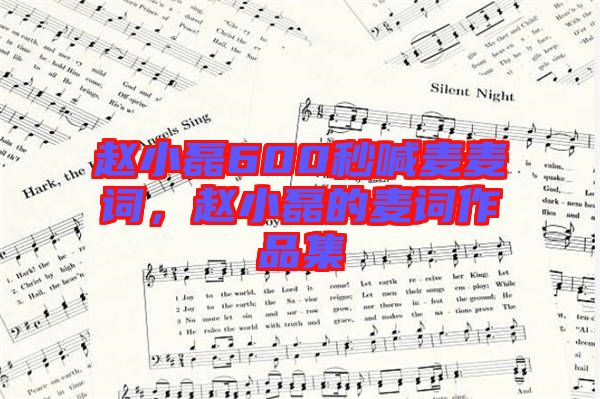 趙小磊600秒喊麥麥詞，趙小磊的麥詞作品集